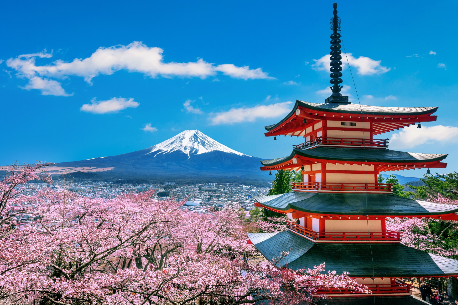 Japan — technical trainee program jobs